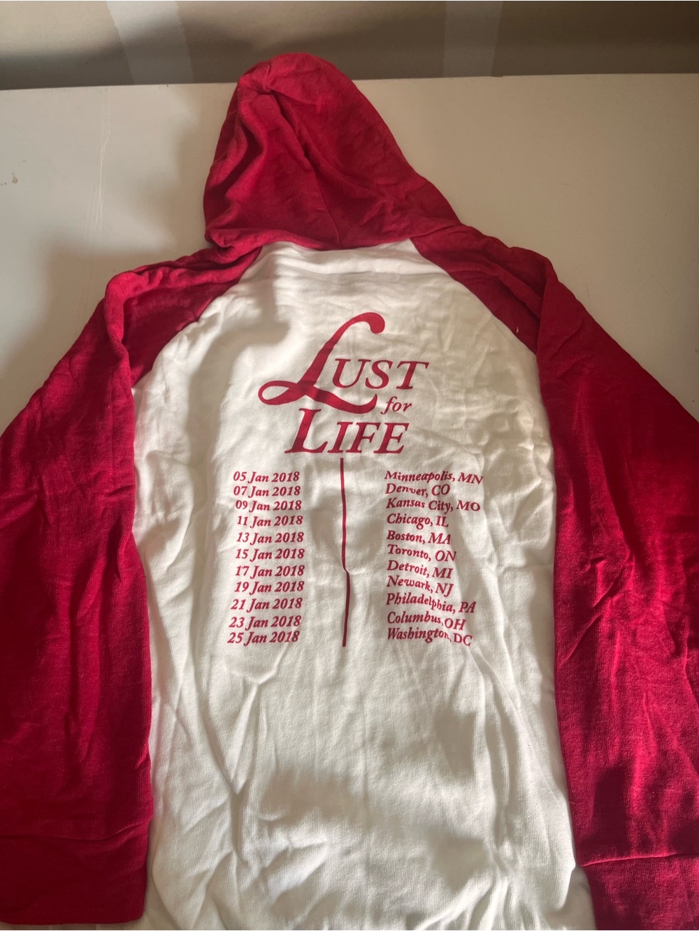 Lana Del Rey 2018 Tour Raglan Sweatshirt - Picture 4 of 5